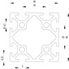 202031//ISB profiel 40x40 NUT 5  1 385kg/m 