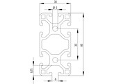 202050//ISB profiel 30x60 licht nut 6  1 655kg/m 