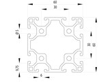 202053//ISB profiel 60x60 licht nut 6  2 62kg/m 