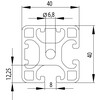 202070//ISB profiel 40x40 2N90 licht nut 8  1 874kg/m 